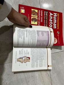 B D Chauraisias Anatomy Vol 2 With Free Handbook