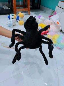 Cute Black Spider Plush Toy