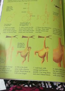 Learn to Draw Animals Book