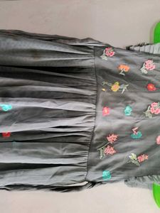 Floral Embroidered Dress