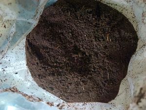 Organic Vermi compost With Worms 🐛