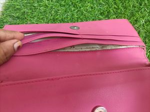 Purse/ Clutch