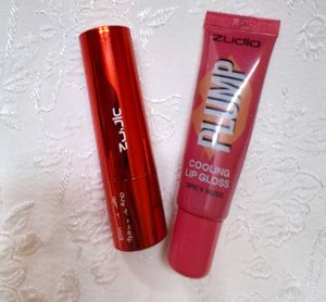 Zudio Lip Gloss & Lipstick Duo