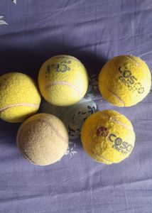 Cricket Ball