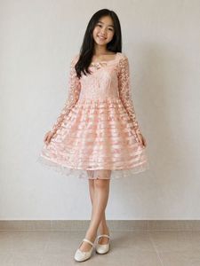 Chic Peach Lace Frock Dress