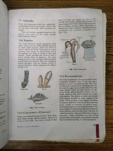 Science NCERT Textbook for Class IX (Old Edition)