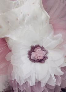 Baby Girl's Princess Party Dress