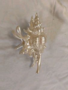 beach aesthetic pinterest sea shell claw clip huge