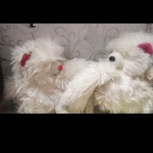 Cute Fluffy White Teddy Bears
