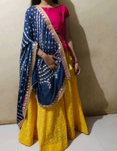 Lehenga Choli Set
