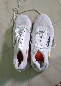 Off White Shoe