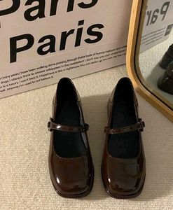 Chic Brown Mary Jane Block Heels