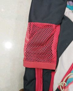 WIKI CHRYSIO Pink
