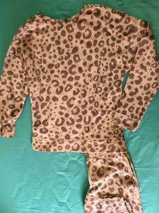 Leopard Print Outfit