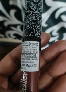 PRICE DROP Nude Brown matte Quick dry Lipstick