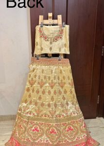 Brand New Embroidered Lehenga Choli Set