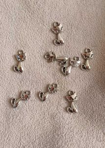 Silver Charms (18rs Each)