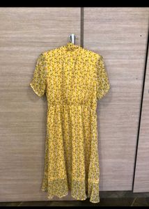 Dressberry New Dress