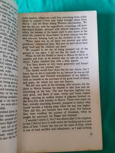 The Torn Veil by Gulshan Esther