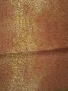 Shimmering Ethnic blouse material