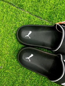 Puma Slide LEADCAT
