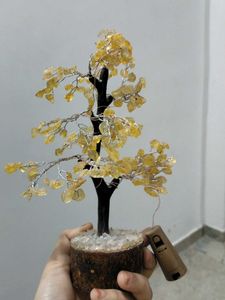 Tree Lam Show Piece