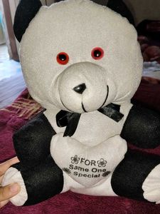 Teddy 🧸 panda 🐼