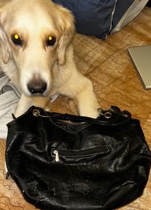 Chic Black Faux Leather Bag Thrifted