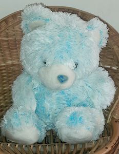 Taddy Bear