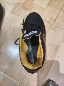 Black &amp; Yellow Casual Sneakers