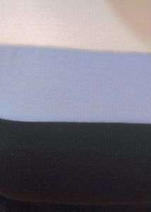 White And Blue Crop Top