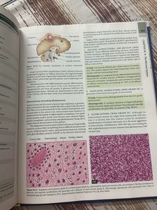 Textbook of Pathology 8th Edition