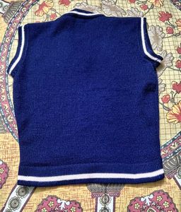 Blue V-Neck Sleeveless Knit Sweater