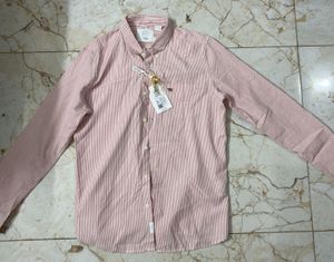 The Bear House Pink Striped Shirt