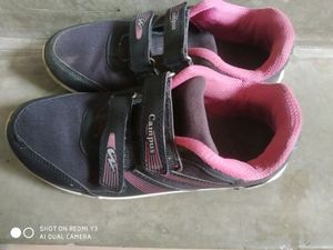 Campus Sports Shoes