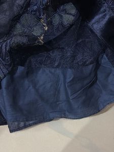 Elegant Embroidered Net Saree