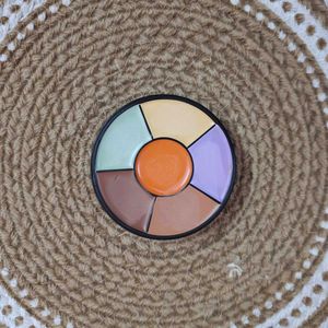 Insight Pro Concealer Palette