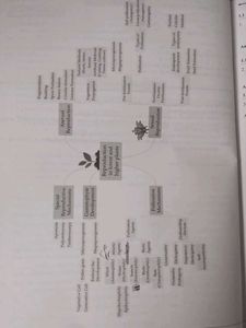 Focus Biology Std. XII Science Textbook