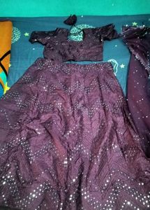 Sparkling Plum Lehenga Choli Set