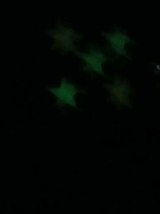 Decorative Plant with night Star on Pot