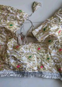 Ethnic saree and blouse