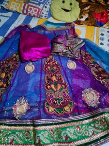 Elegant Embellished Lehenga Choli Set