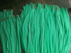 Stunning Green Lehenga Choli Set