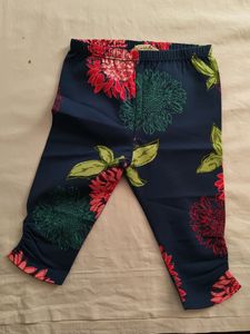 Dave &amp; Bella Top And Bottom Set