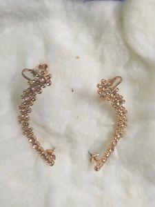 Rose Gold Earrings