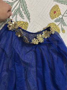 Royal Blue Embellished pochu top