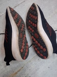 Campus Sport Shoes In Good Condition