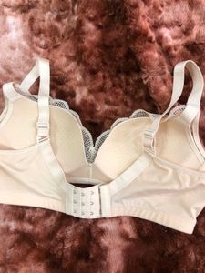 Elegant Lace Padded Bra