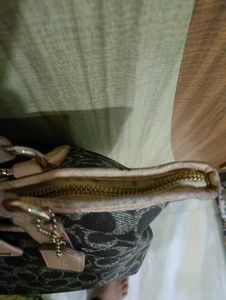 Coach Signature Print Tote Bag