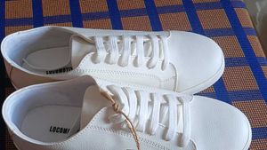 White Sneakers Size 43 Uk Indian Siz 9